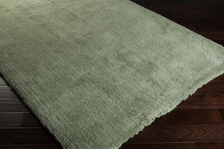 Skidmore Area Rug - Clearance