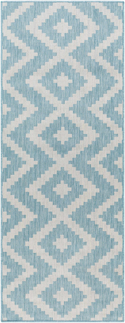 Anke Aqua Area Rug - Clearance