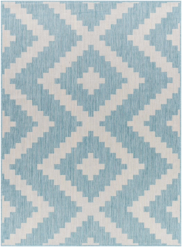 Anke Aqua Area Rug - Clearance