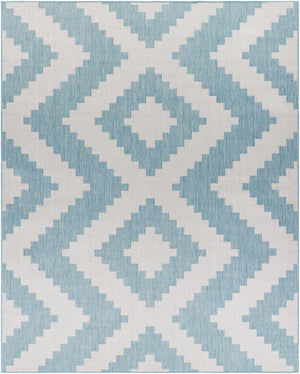 Anke Aqua Area Rug - Clearance