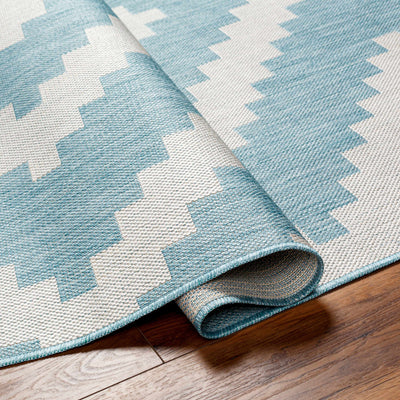 Anke Aqua Area Rug - Clearance