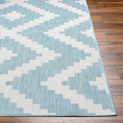 Anke Aqua Area Rug - Clearance