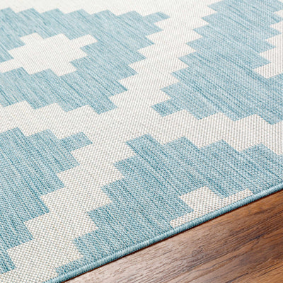 Anke Aqua Area Rug - Clearance