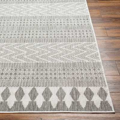 Asif Charcoal Area Rug - Clearance