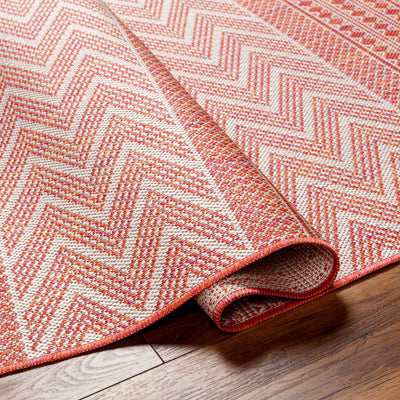 Asif Orange Area Rug - Clearance