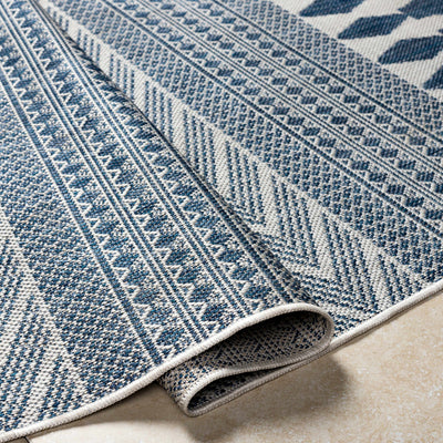 Asif Blue Area Rug - Clearance