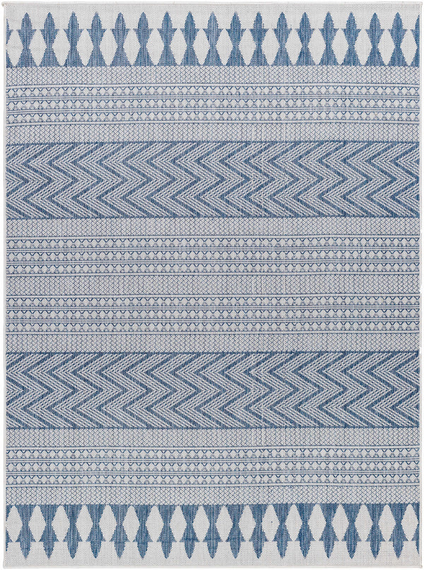 Asif Blue & Gray Area Rug