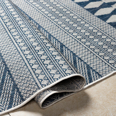 Asif Blue & Gray Area Rug