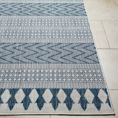 Asif Blue & Gray Area Rug