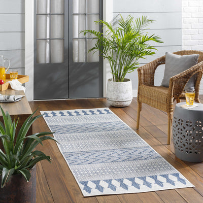 Asif Blue & Gray Area Rug