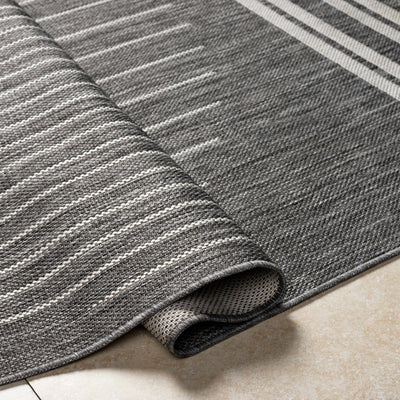 Aviya Gray Area Rug