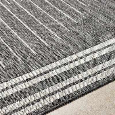 Aviya Gray Area Rug