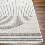 Aviya Light Gray Area Rug - Clearance
