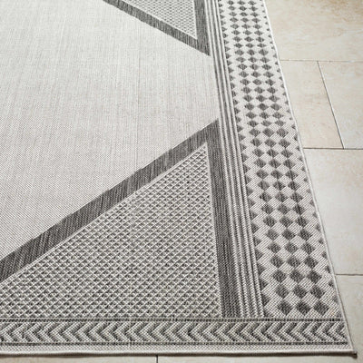 Efrem Area Carpet - Clearance