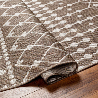 Lali Brown Area Rug - Clearance