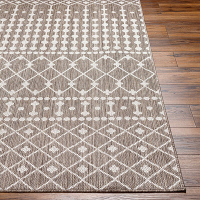 Lali Brown Area Rug - Clearance