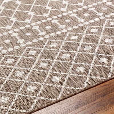 Lali Brown Area Rug - Clearance