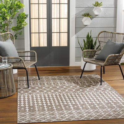 Lali Brown Area Rug