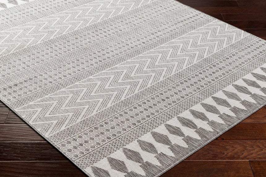 Lali Light Gray Area Rug - Clearance