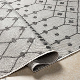 Lali Light Gray Area Rug - Clearance