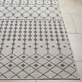 Lali Light Gray Area Rug - Clearance