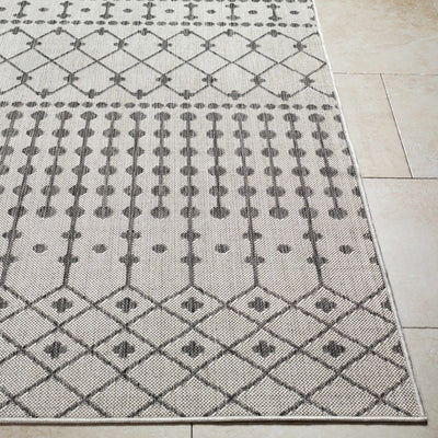 Lali Light Gray Area Rug