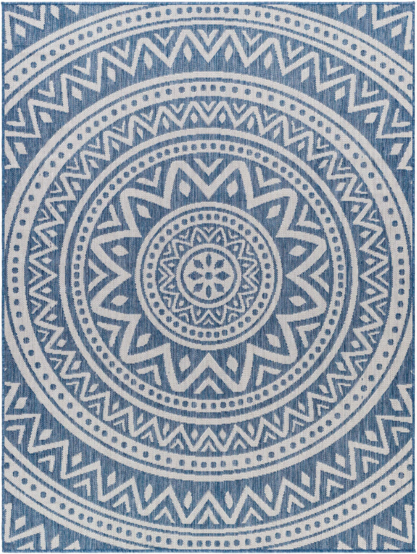 Naim Blue Area Rug - Clearance