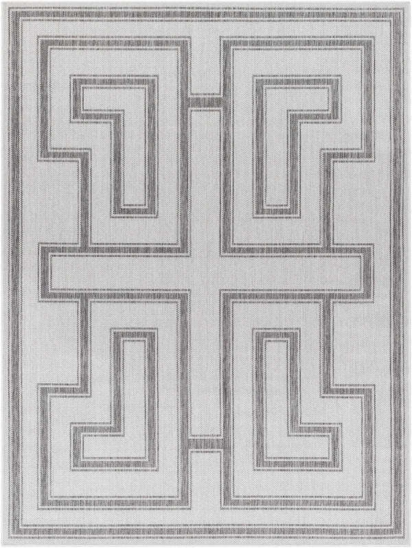 Taro Light Gray Area Rug - Clearance