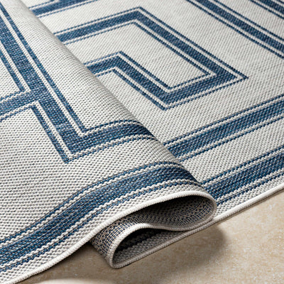 Taro Blue & Gray Area Rug - Clearance