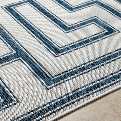 Taro Blue & Gray Area Rug - Clearance