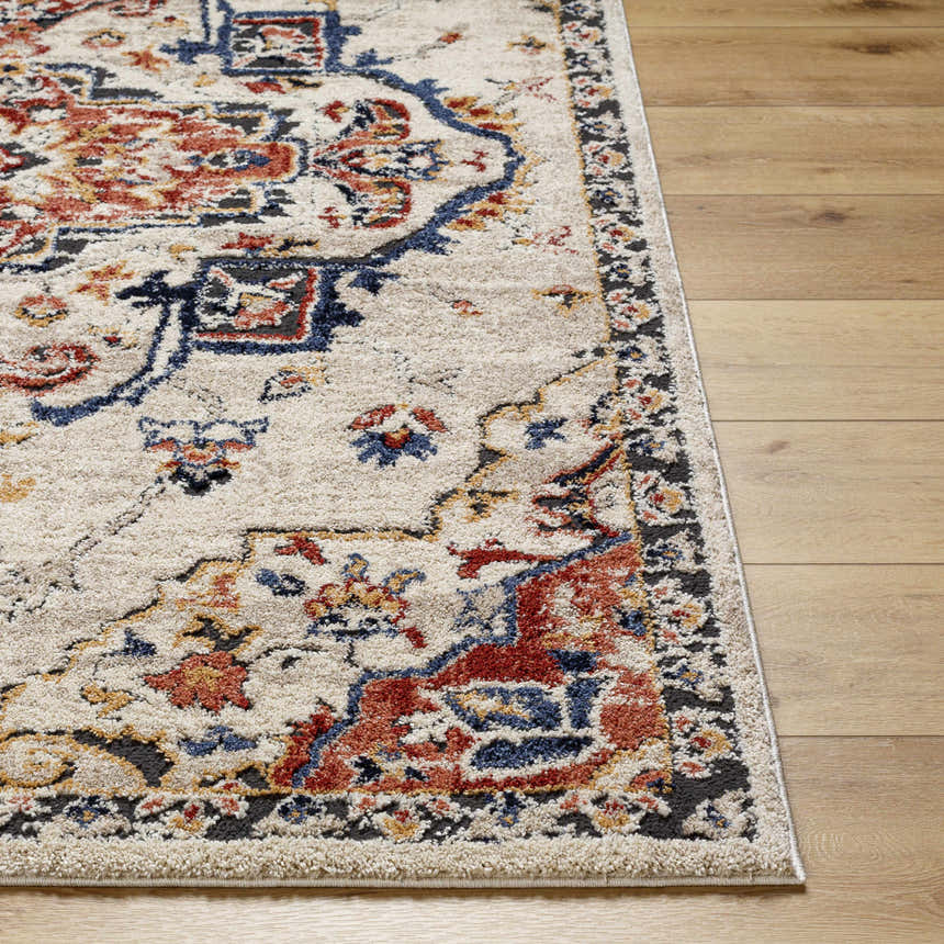 Close up of the Karah Area Rug showing the beige, bone, red, and blue traditional pattern. Front