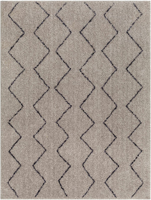 Amro Washable Area Rug