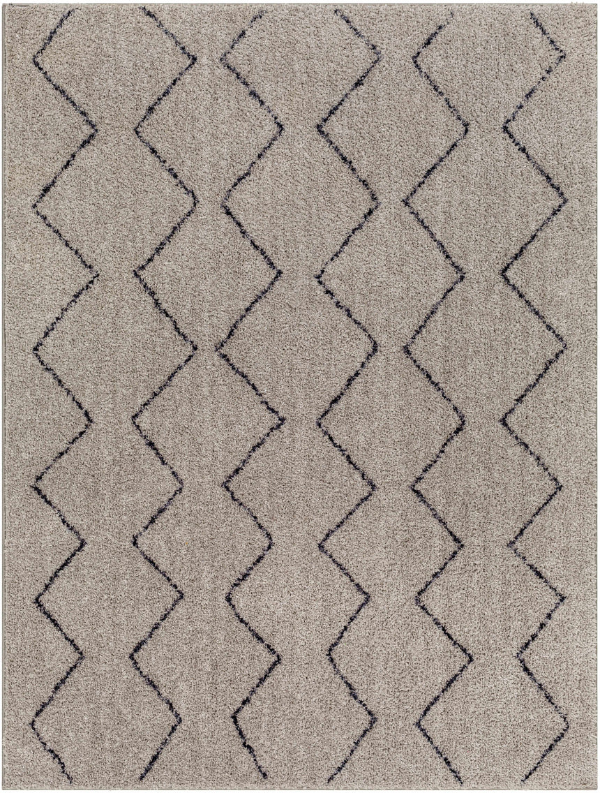 Amro Washable Area Rug - Clearance