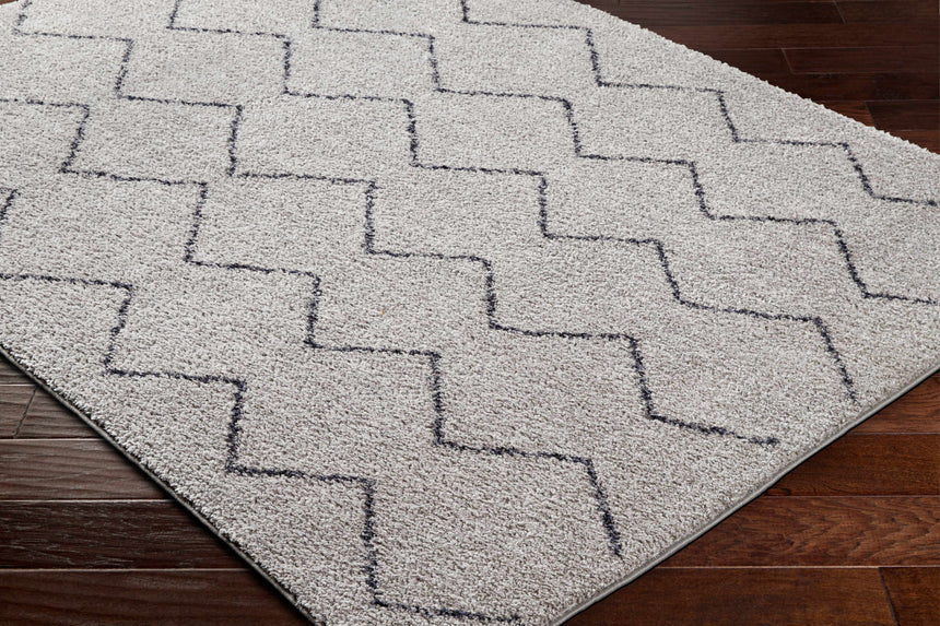 Amro Washable Area Rug - Clearance