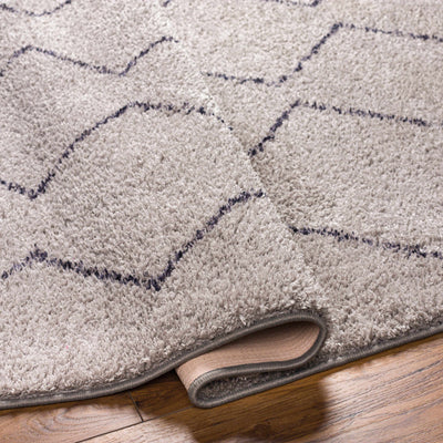 Amro Washable Area Rug