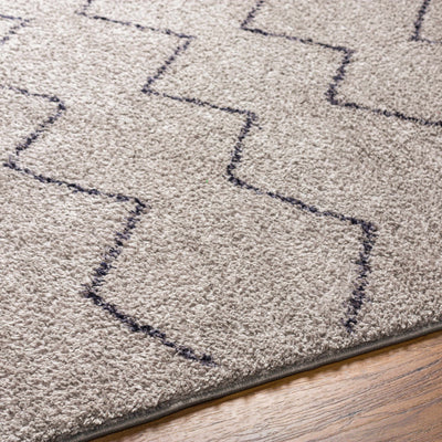 Amro Washable Area Rug