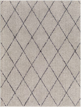 Deza Gray Washable Area Rug - Clearance