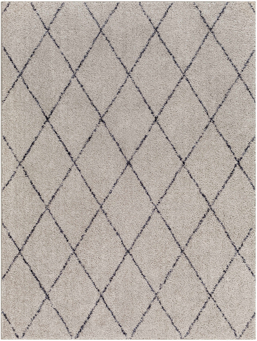 Deza Gray Washable Area Rug - Clearance