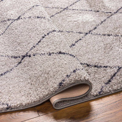 Deza Gray Washable Area Rug