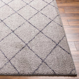 Deza Gray Washable Area Rug - Clearance