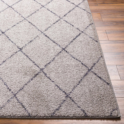 Deza Gray Washable Area Rug