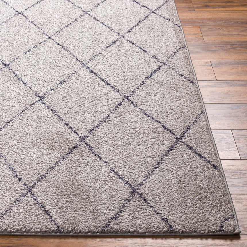Deza Gray Washable Area Rug - Clearance