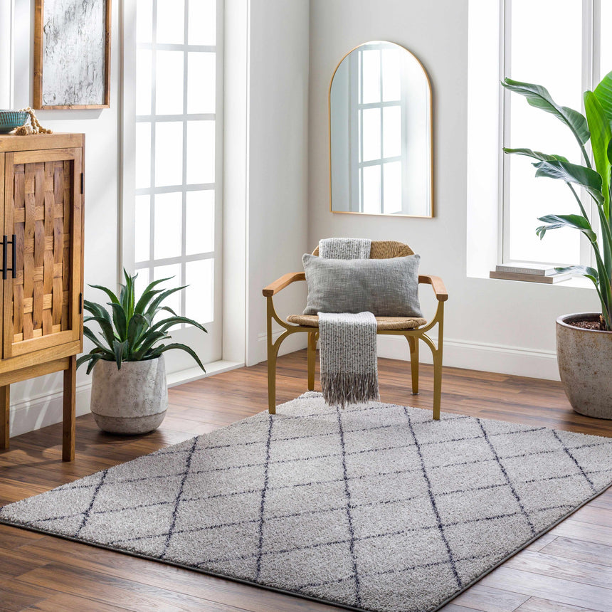 Deza Gray Washable Area Rug - Clearance