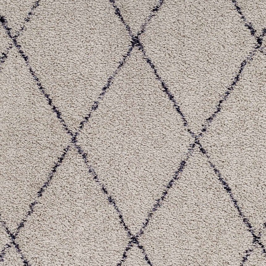 Deza Gray Washable Area Rug - Clearance