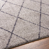 Deza Gray Washable Area Rug - Clearance