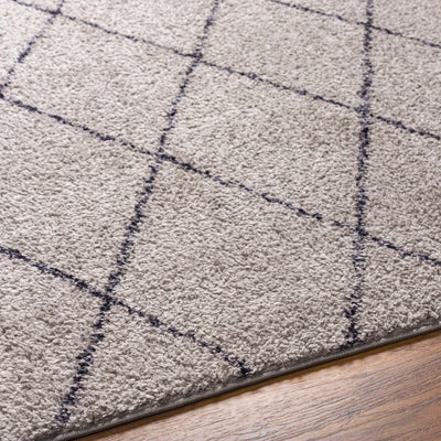 Deza Gray Washable Area Rug