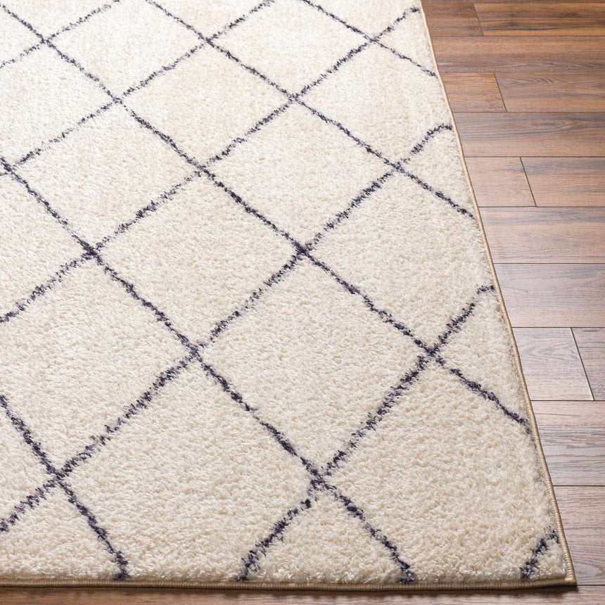Deza Beige Washable Area Rug - Clearance