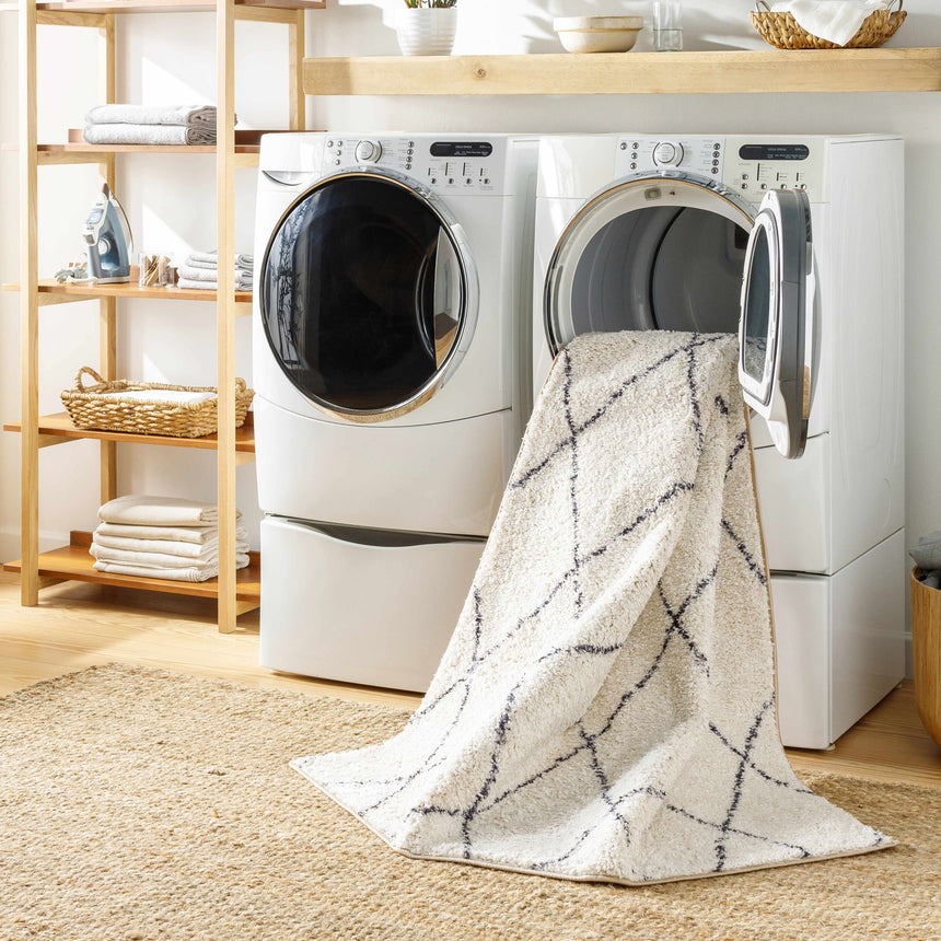 Deza Beige Washable Area Rug - Clearance