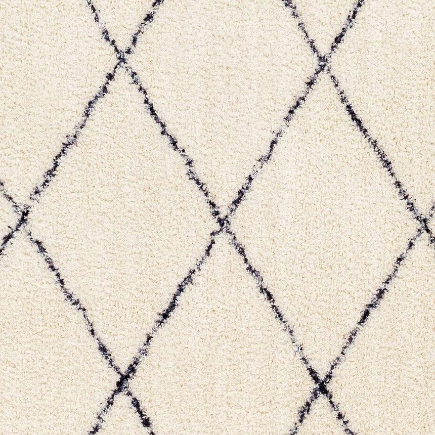 Deza Beige Washable Area Rug - Clearance