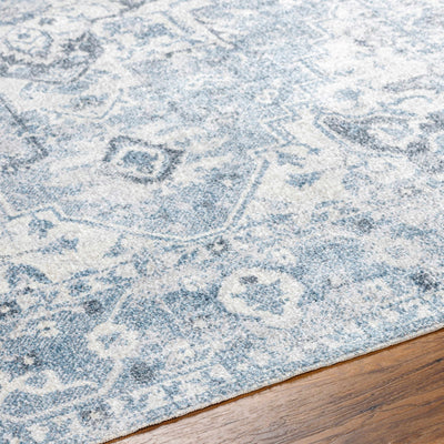 Ankti Blue Washable Area Rug